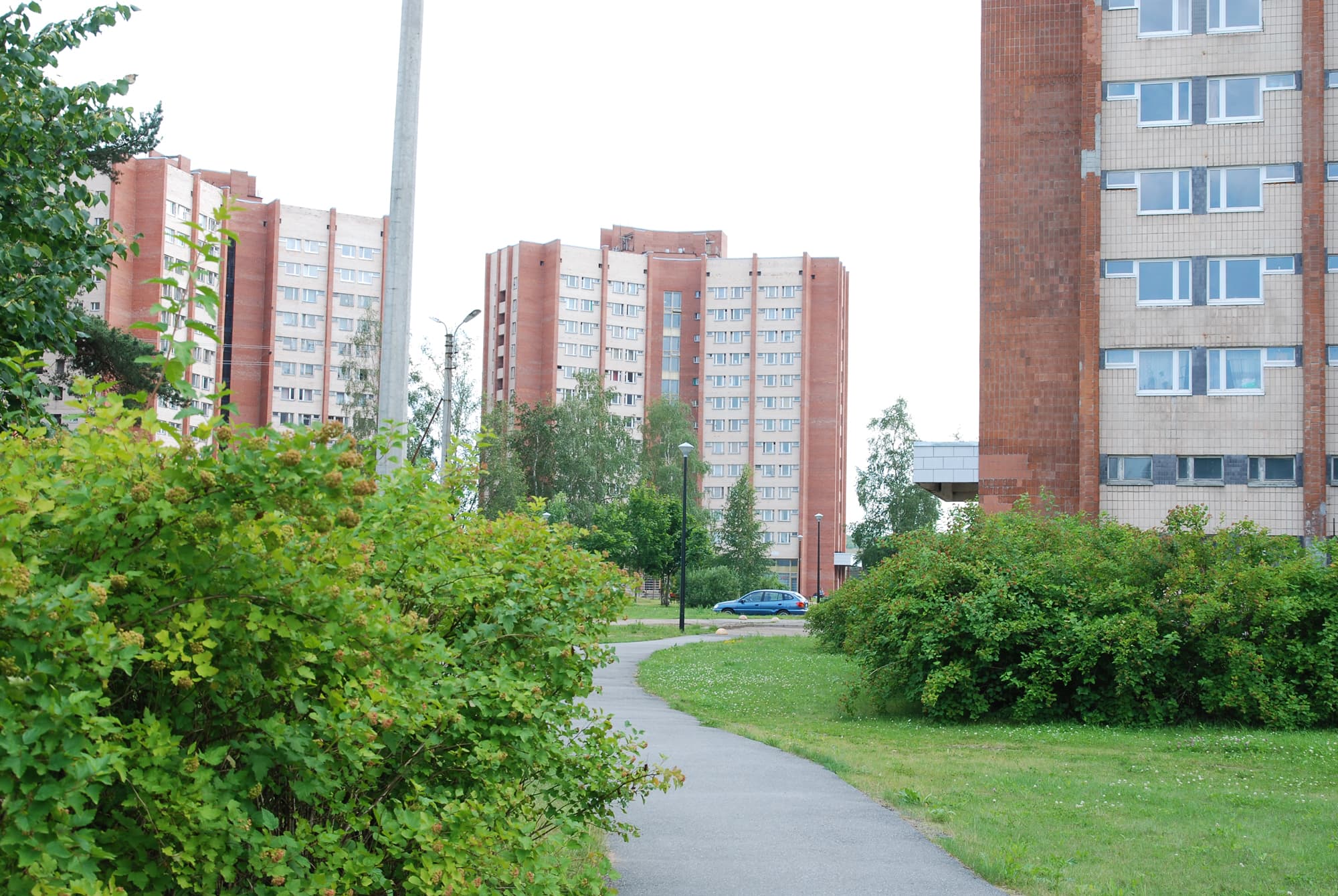 Высотные краснокирпичные корпуса студгородка СПбГУ в Петергофе на Ботанической улице, где расположено общежитие № 16